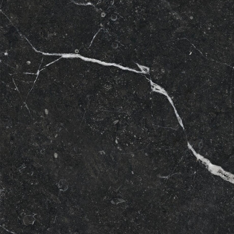 Glasuuritud põrandaplaat 60x120, must kuldse veeniga, läikiv, rektifitseeritud A4H109 Pierre Black #37