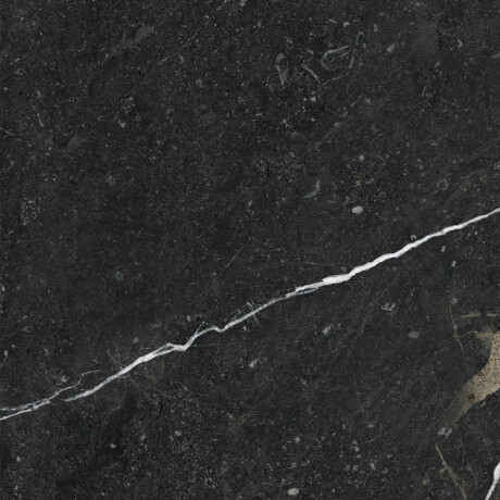 Glasuuritud põrandaplaat 60x120, must kuldse veeniga, läikiv, rektifitseeritud A4H109 Pierre Black #38