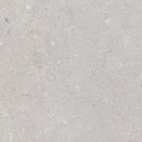 Põrandakeraamilised plaadid 60x120 cm, helehall, matt, A4H1093 Shellstone Bianco #1