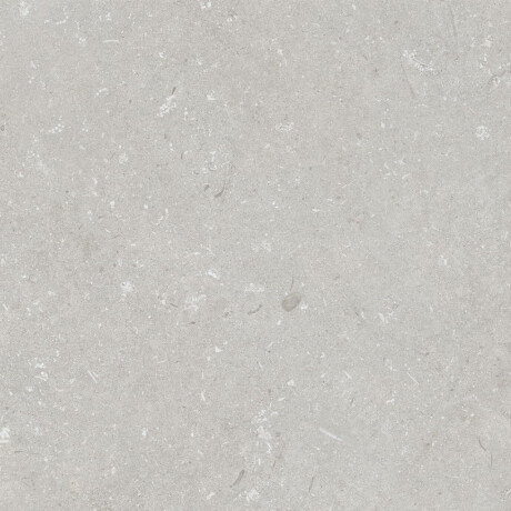 Põrandakeraamilised plaadid 60x120 cm, helehall, matt, A4H1093 Shellstone Bianco #2