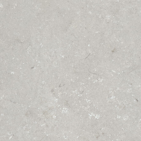 Põrandakeraamilised plaadid 60x120 cm, helehall, matt, A4H1093 Shellstone Bianco #3