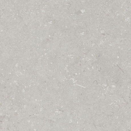 Põrandakeraamilised plaadid 60x120 cm, helehall, matt, A4H1093 Shellstone Bianco #4