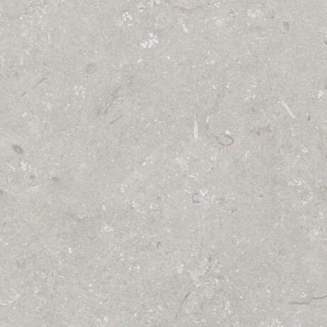 Põrandakeraamilised plaadid 60x120 cm, helehall, matt, A4H1093 Shellstone Bianco #5