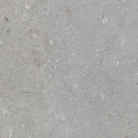 Põrandaplaat 60x120 cm, hall matt A4H1096 Shellstone Grigio #4