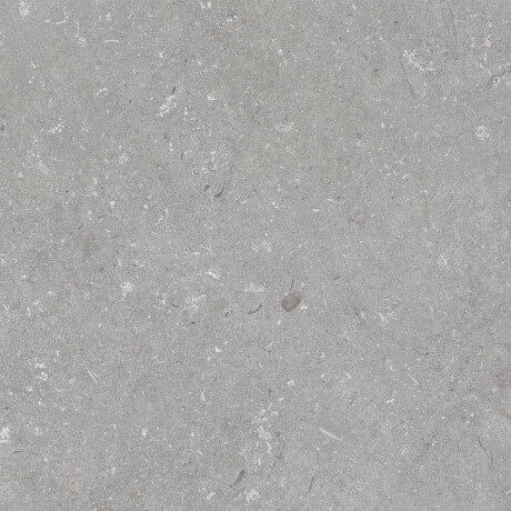 Põrandaplaat 60x120 cm, hall matt A4H1096 Shellstone Grigio #5