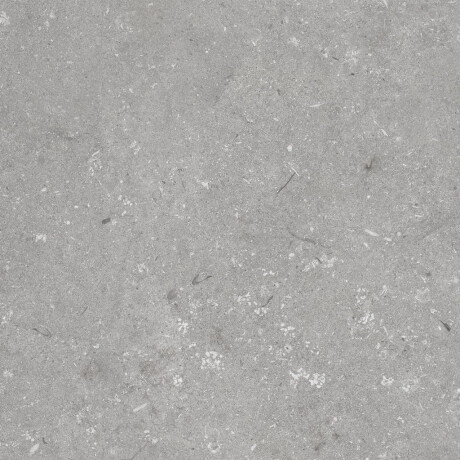 Põrandaplaat 60x120 cm, hall matt A4H1096 Shellstone Grigio #6