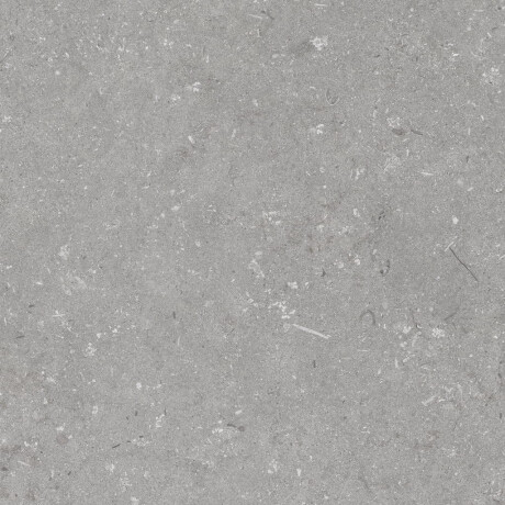 Põrandaplaat 60x120 cm, hall matt A4H1096 Shellstone Grigio #7