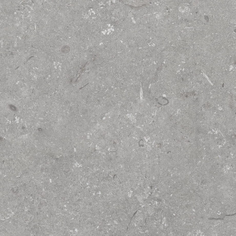 Põrandaplaat 60x120 cm, hall matt A4H1096 Shellstone Grigio #8