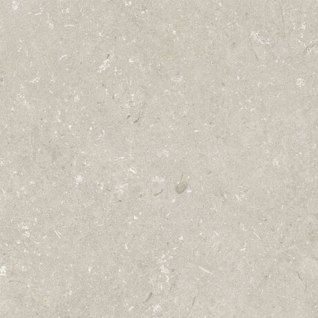 Põrandakeraamilised plaadid 60x120 cm, beež, matt, A4H1099 Shellstone Beige #4