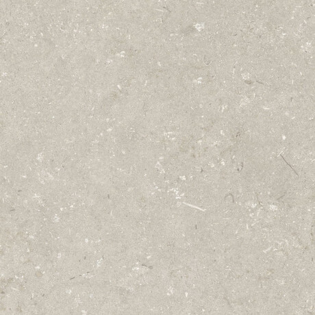 Põrandakeraamilised plaadid 60x120 cm, beež, matt, A4H1099 Shellstone Beige #6