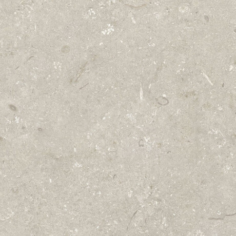 Põrandakeraamilised plaadid 60x120 cm, beež, matt, A4H1099 Shellstone Beige #7