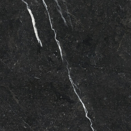 Glasuuritud põrandaplaat 60x120, kuldse veeniga, matt, rektifitseeritud, A4H110 Pierre Black #23