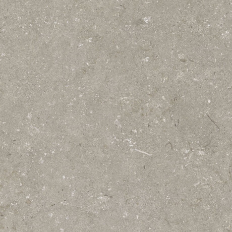 Põrandakeraamilised plaadid 60x120 cm, taupe, matt, A4H1102 Shellstone Taupe #4