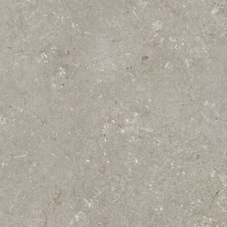 Põrandakeraamilised plaadid 60x120 cm, taupe, matt, A4H1102 Shellstone Taupe #5