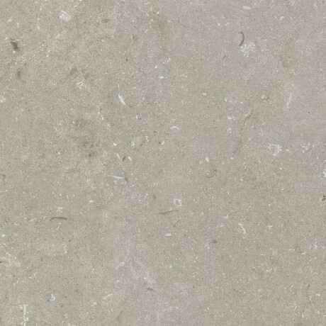 Põrandakeraamilised plaadid 60x120 cm, taupe, matt, A4H1102 Shellstone Taupe #6