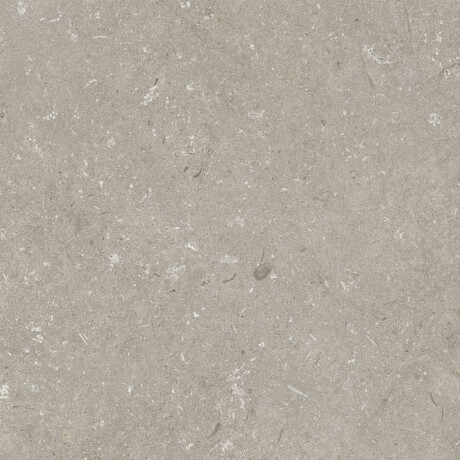 Põrandakeraamilised plaadid 60x120 cm, taupe, matt, A4H1102 Shellstone Taupe #7