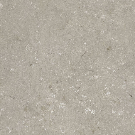 Põrandakeraamilised plaadid 60x120 cm, taupe, matt, A4H1102 Shellstone Taupe #8