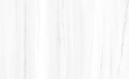 Suurformaadiline gres-plaat 120x270 cm, hallide veenidega, läikiv, rektifitseeritud A4H185 Dolomite
