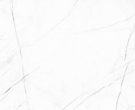 Suurformaadiline keraamiline plaat 120x280, valge marmor mustade soontega, matt, A4H680 Markina White