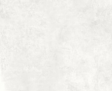 Põrandaplaat 120x120, mattvalge betoon A4H768 Louft White
