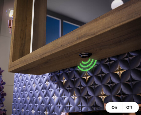 LED-vannitoapeegel WoodenFrame raamiga, Oslo tamme toonis #6