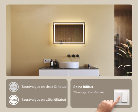Disaineri taustavalgustusega LED-vannitoa peegel 70x50cm, kahe värvi, puutetundliku lüliti, Demister - L49 #4