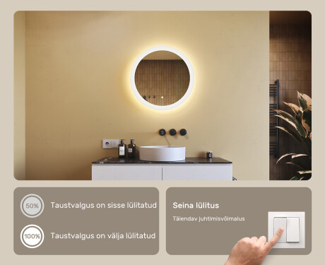 Ümmargune vannitoa peegel LED-valgusega 60cm kahe värviga, puutetundlik lüliti #4