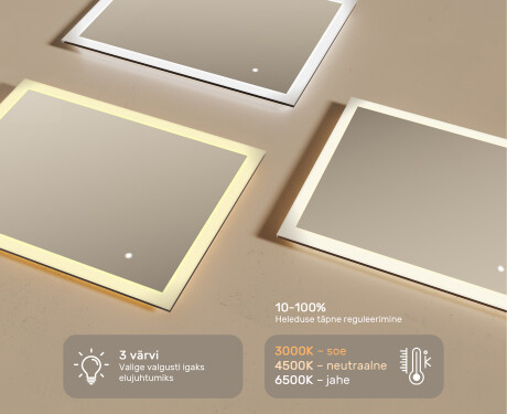 Ristkülikukujuline vannitoa peegel LED-valgustusega 80x60cm, Dual color, Touch Switch #3