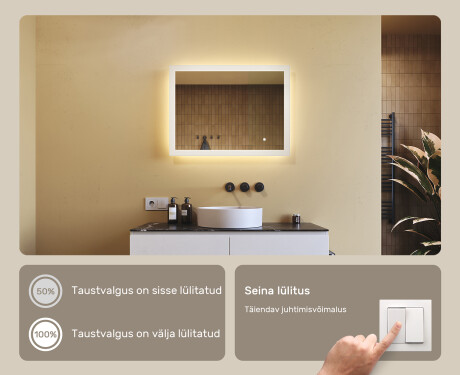 Ristkülikukujuline vannitoa peegel LED-valgustusega 80x60cm, Dual color, Touch Switch #4