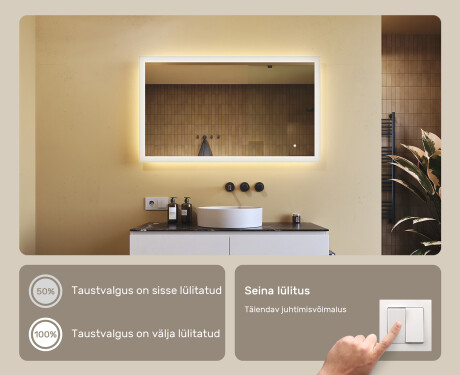 Ristkülikukujuline taustavalgustusega vannitoa peegel 120x70cm, Dual color, Touch Switch #4