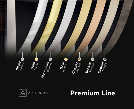 Ümmargune ripppeegel koos tuledega L96 #5