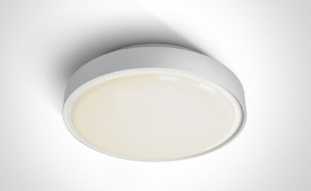 RAFTI AN laelamp 24 W 3000 K IP65 antratsiit