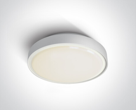 RAFTI AN laelamp 24 W 3000 K IP65 antratsiit