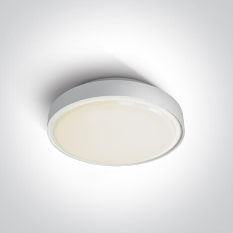 RAFTI AN laelamp 24 W 3000 K IP65 antratsiit #1