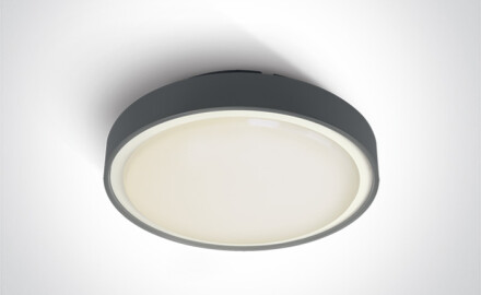 RAFTI AN laelamp 24 W 3000 K IP65 valge