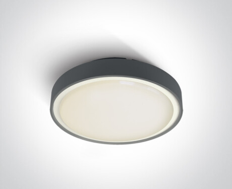 RAFTI AN laelamp 24 W 3000 K IP65 valge