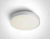 RAFTI EA laelamp 2x12W, IP65, must