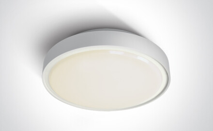 RAFTI EA laelamp 2x12W, IP65, must