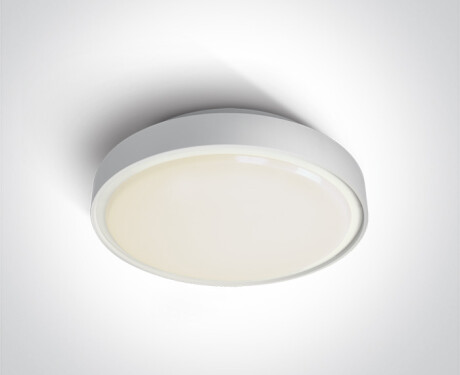 RAFTI EA laelamp 2x12W, IP65, must