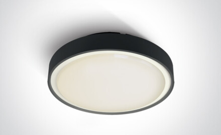 RAFTI E laelamp 12 W, IP65, antratsiit