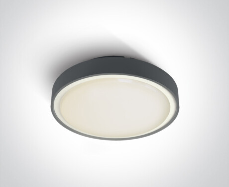RAFTI EA laelamp 2x12W, IP65, valge