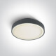 RAFTI E laelamp 12 W, IP65, valge #1
