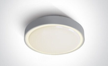 RAFTI N laelamp 16 W 3000 K IP65 antratsiit