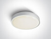 RAFTI N laelamp 16 W 3000 K IP65 hall