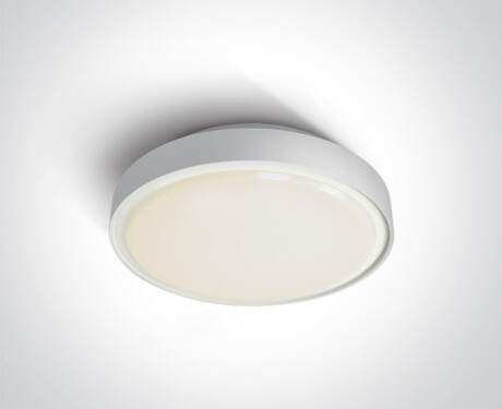 RAFTI N laelamp 16 W 3000 K IP65 hall