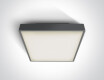 RAFTI N laelamp 16 W 3000 K IP65 valge