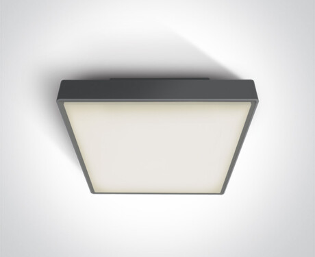 RAFTI N laelamp 16 W 3000 K IP65 valge