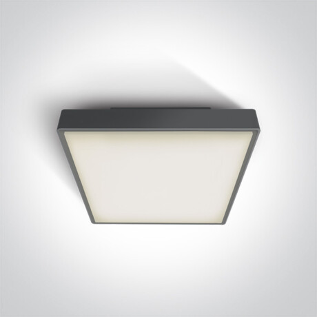 RAFTI N laelamp 16 W 3000 K IP65 valge #1