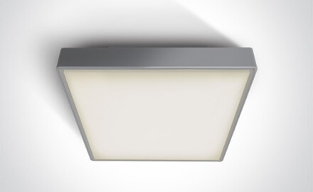 PIRNARI AN laelamp 24 W 3000 K IP65 antratsiit