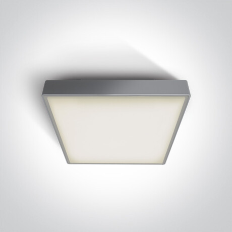 PIRNARI AN laelamp 24 W 3000 K IP65 antratsiit #1